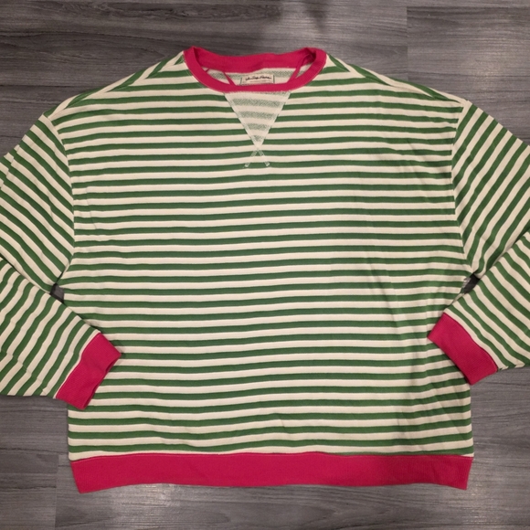 Free People We the Free Classic Striped Crewneck Sweatshirt Oversized Green Pink - Picture 2 of 9